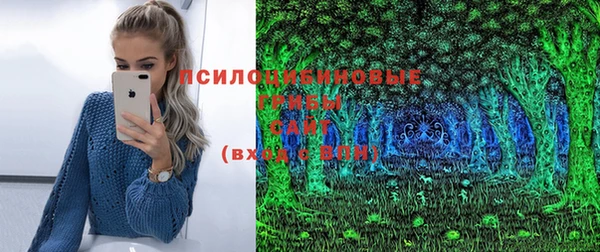 винт Михайловка