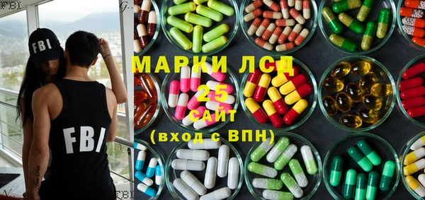 PSILOCYBIN Михайлов