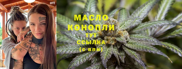 PSILOCYBIN Михайлов