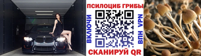Псилоцибиновые грибы мухоморы  Елизаветинская 